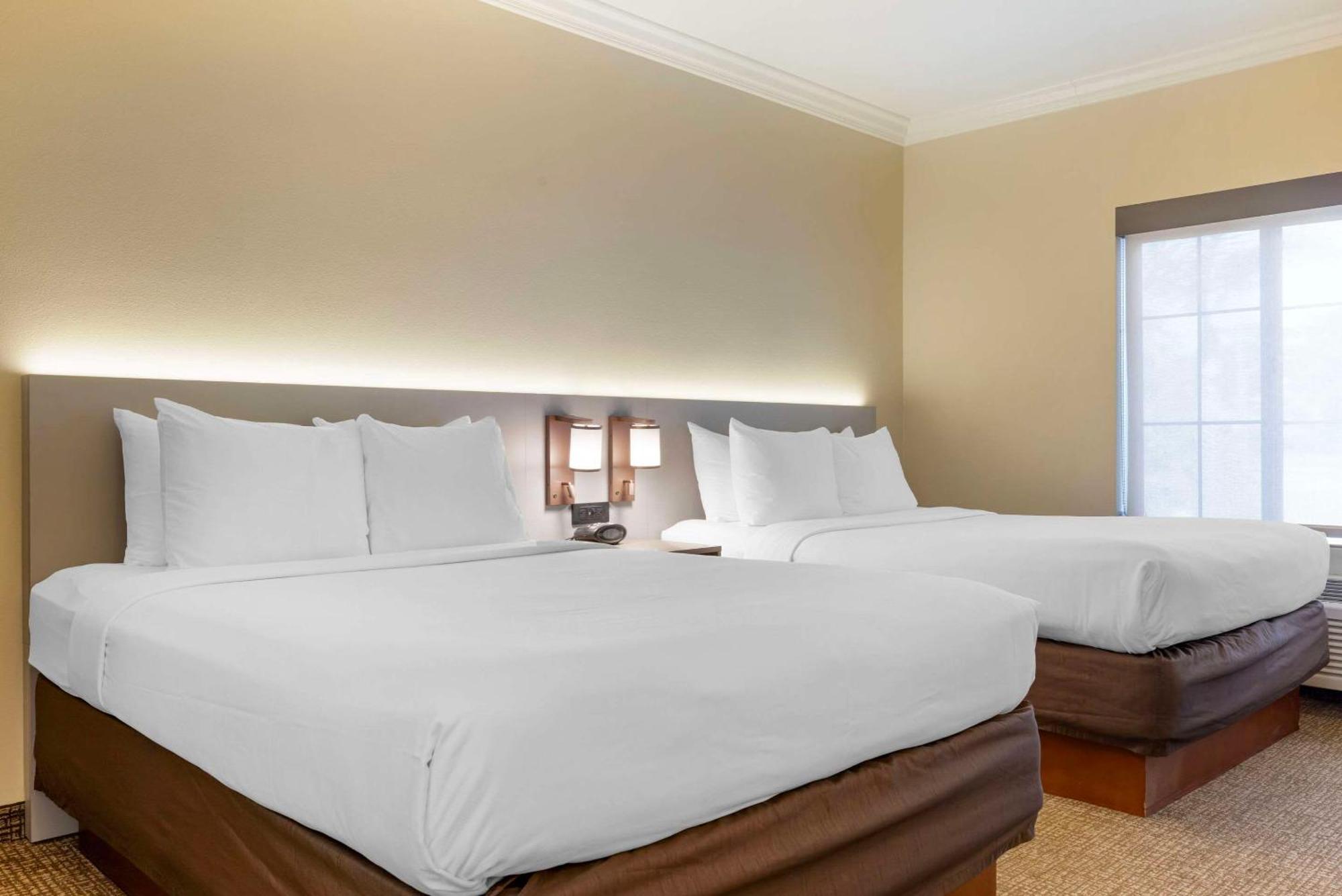 Comfort Suites Oceanside Camp Pendleton Area Bagian luar foto