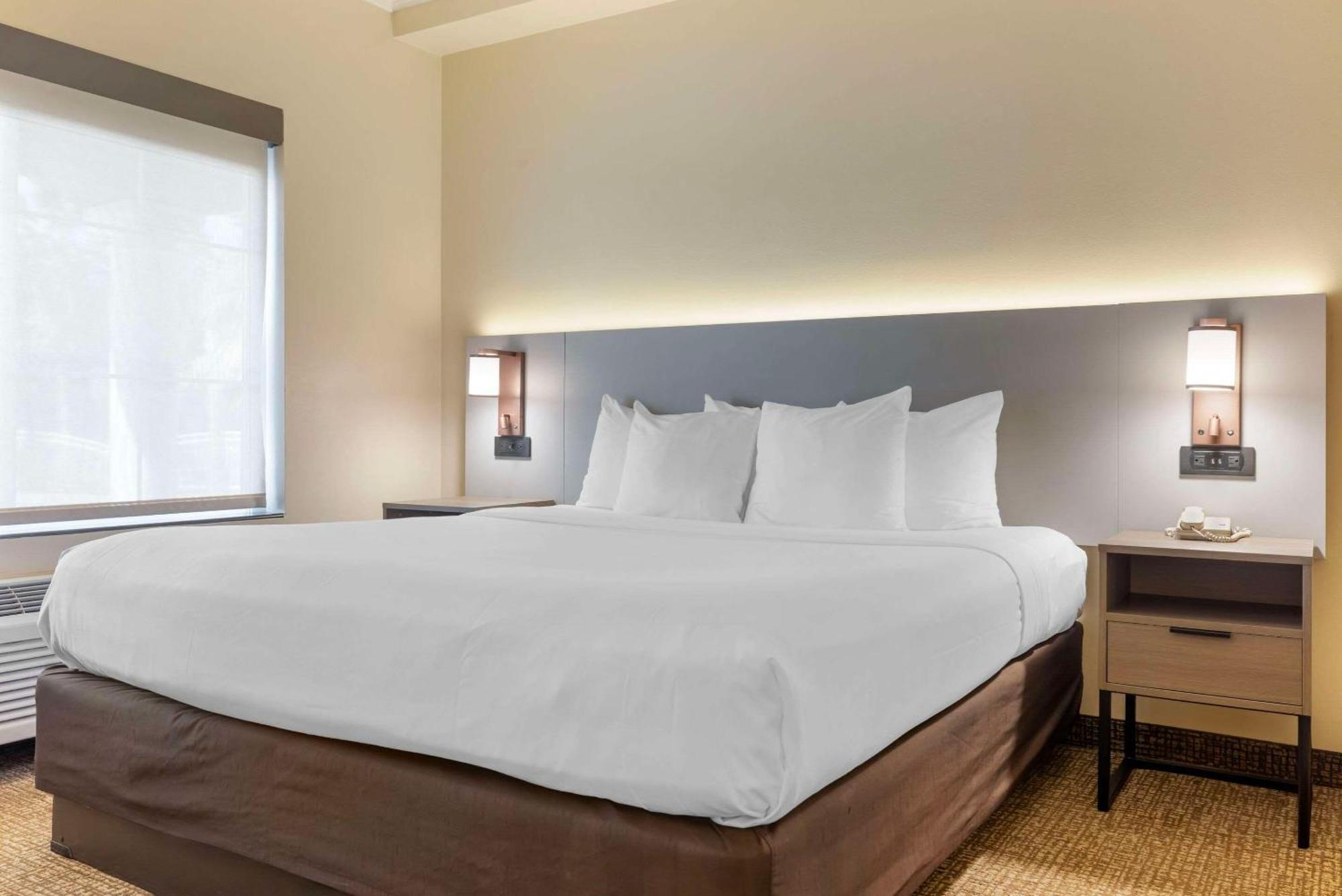 Comfort Suites Oceanside Camp Pendleton Area Bagian luar foto